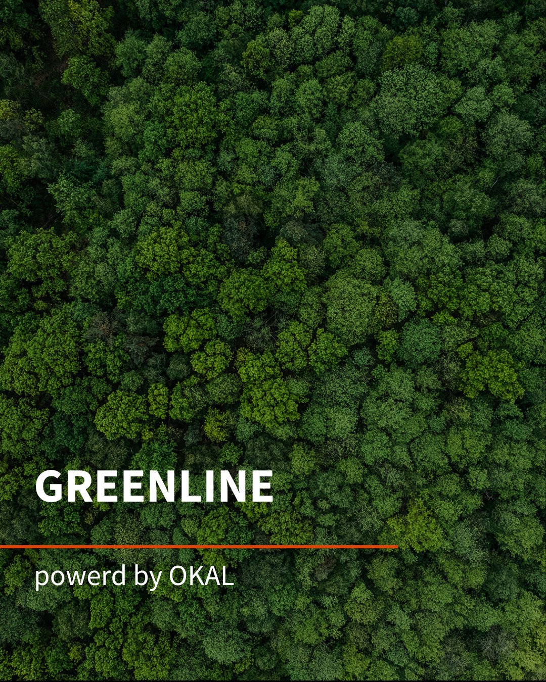 Zukunftsweisend wohnen: Mit einem modernen Haus von OKAL!